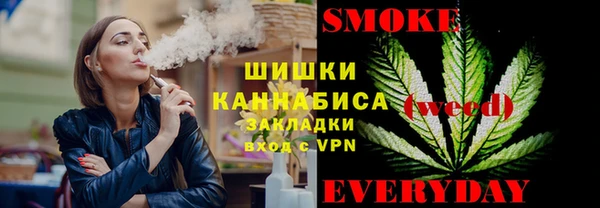 МДПВ Медногорск