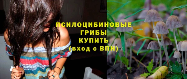 МДПВ Медногорск
